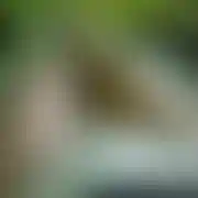 Kolobi29