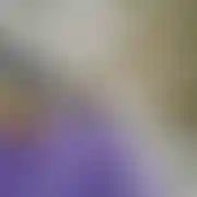 Rozebrany