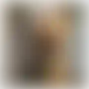 Lysy275