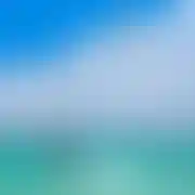 Vigon
