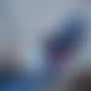 Mieetus