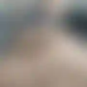 Pozwlkp