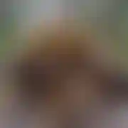 Martin213