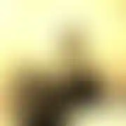 Sekx