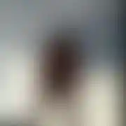 Voytas
