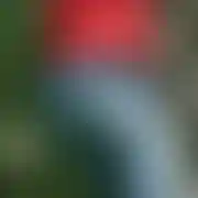 Passucker