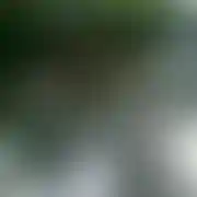 Pytonn21