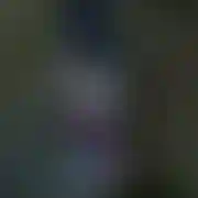 Kukiz88