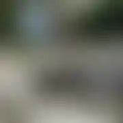 Mlod0001