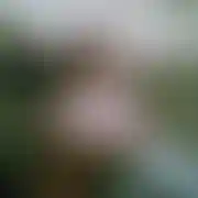 WLAKOR