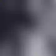 MichLBN
