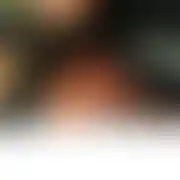 Kjsklet