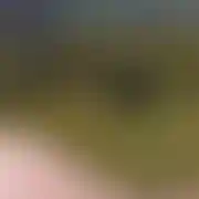 EM88Me