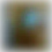 Poz43
