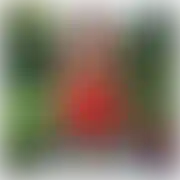 Squirter