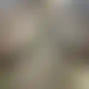 Humus