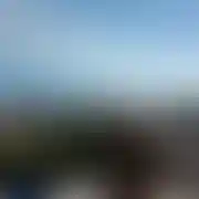 Amigo