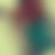 Parazwro