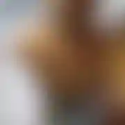 Boski07