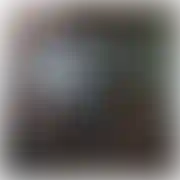 BAcGay