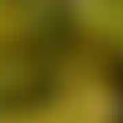 Gregory42 - mężczyzna, 51 lat, Pszów