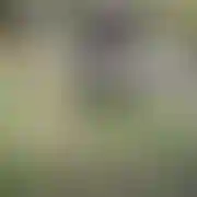 Djluk8