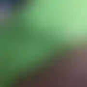 RealnyDlaRealnych