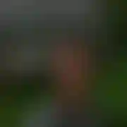 Nawojowa
