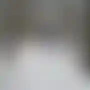Biker81