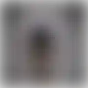 Monikatranska20