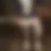 David26
