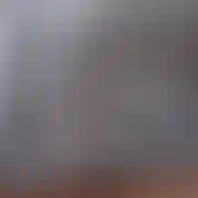 Mullermich