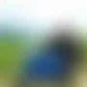Darecki82