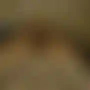 Bifacetkr
