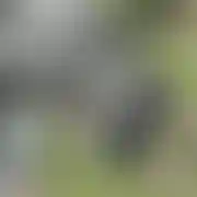 Pila11