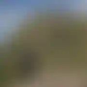 Snafu86