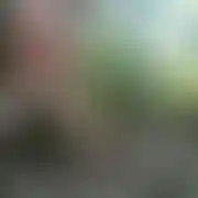 Soczystabrzoskwinka - frau, 27 Jahre, Łomża