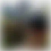 Cuteboy12