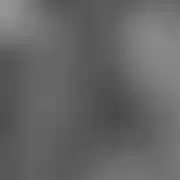 PanLepszy