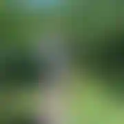 Jasko