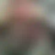 Adrian51