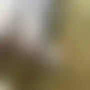 Monikatv35