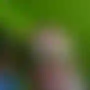 Barti957
