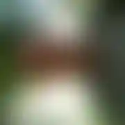 Tomluc