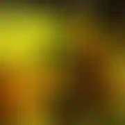 Mms7