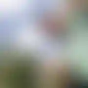 Rpprh