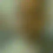 Janikowski20000