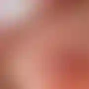 Jebakut