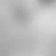 Nowapara1990