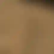 Arent